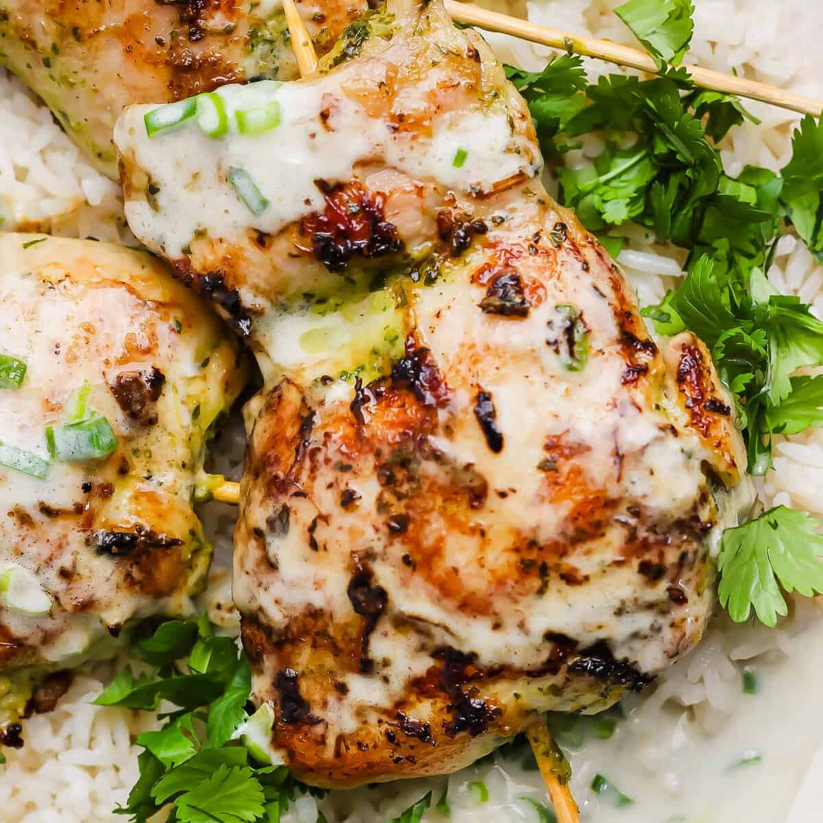 Green Curry Chicken Skewers – Fit Foodie Finds Green Curry Chicken Skewers – Fit Foodie Finds